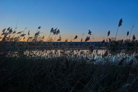 Sky Nature Landscape
