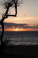 sea Beach at dusk landscape
