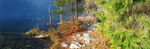 Nature Lake Shore