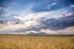 Sky Landscape Nature