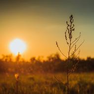 Sunset Countryside Nature