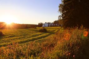 Nature Sunset