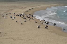 Sand To The Beach