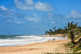 Beach Brazil Sea