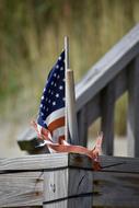 Flag Beach Dune