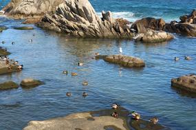 The Body Of Water Sea Nature