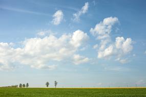 Landscape Summer Sunny