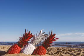 Beach Fruits Ocean