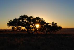 Sunset in Namibia in Africa