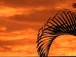 Sunset Color Landscape