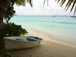 Maldives coastline Landscape