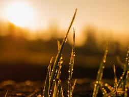 Sunrise morning light Landscape