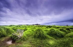 Countryside Green Vast landscape