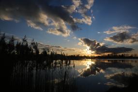 Reflection Nature Waters