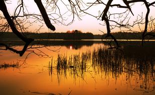 Waters Reflection Dawn