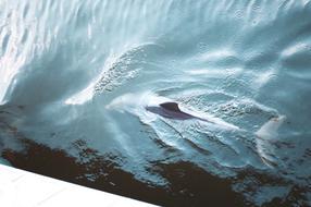 Sea Ocean Water
