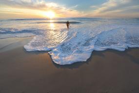 Nature Beach Shore