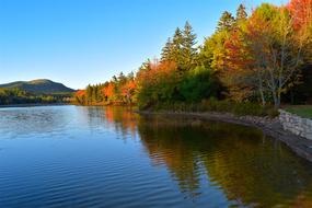 Lake Trees Foliage