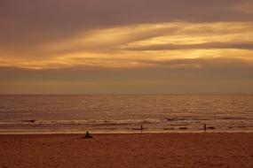 Beach Sea Water