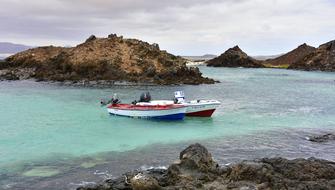 Landscape Island Of Lobos