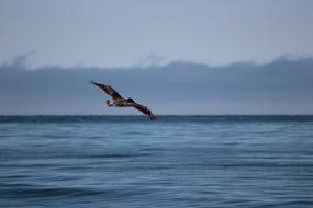 Pismo Beach California Usa