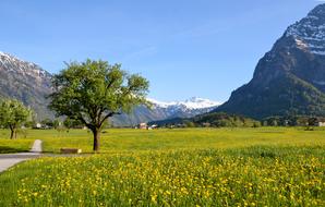 Hiking Alpine Landscape