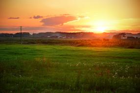 Sunset Nature Grass