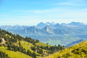 Mountains Foresight Alpine