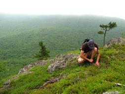 Hiking Mountains Nature Picking