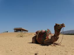 Travel India Desert