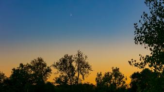 Moon Sunset Garden