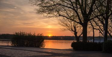 Tree Nature Sunset
