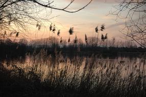 Nature Landscape Reflection