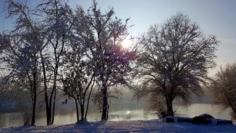 Winter Tisza Snowy park