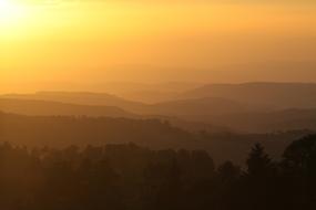 Sunset Yellow Perspective