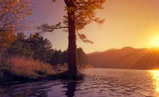 Nature Landscape River