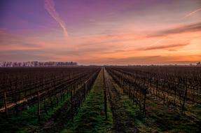 landscape of Farmland Sunset Field
