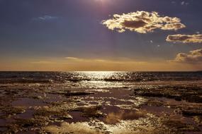 Beach Sea Horizon