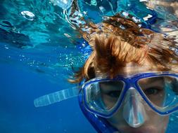 Swimming Snorkeling Ocean