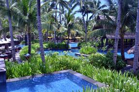 Hotel Swimming Pool Resort