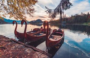 swans shaped Boats