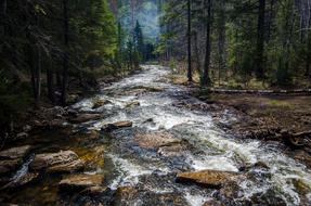 Water stream Nature Landscape