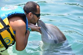 swimmer kissing dolphin in Swimming Pool