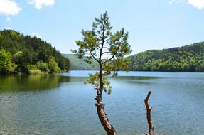 Water Nature Lake