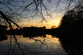 Twilight Sunset and trees silhouettes