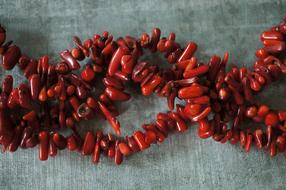 Coral Red Ocean