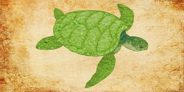 turtle turtle vintage vintage