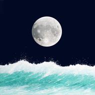 Sea Onda Summer