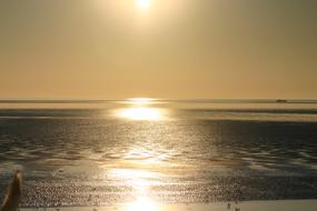Ameland Sea Island