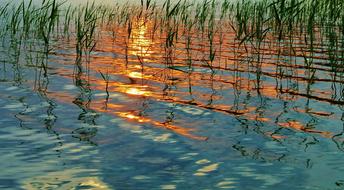 Summer Sunset